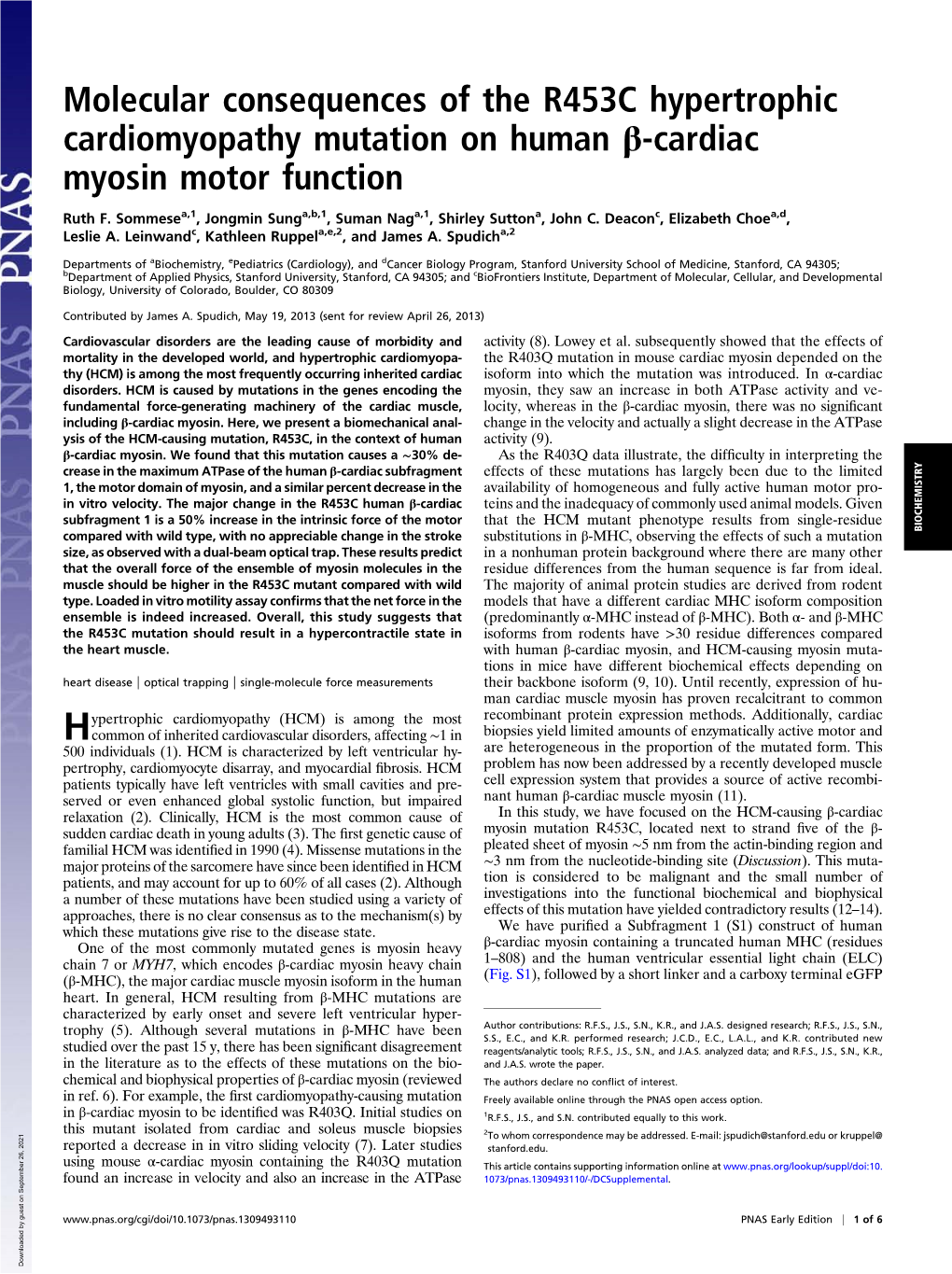 Molecular Consequences of the R453C Hypertrophic Cardiomyopathy Mutation on Human Β-Cardiac Myosin Motor Function