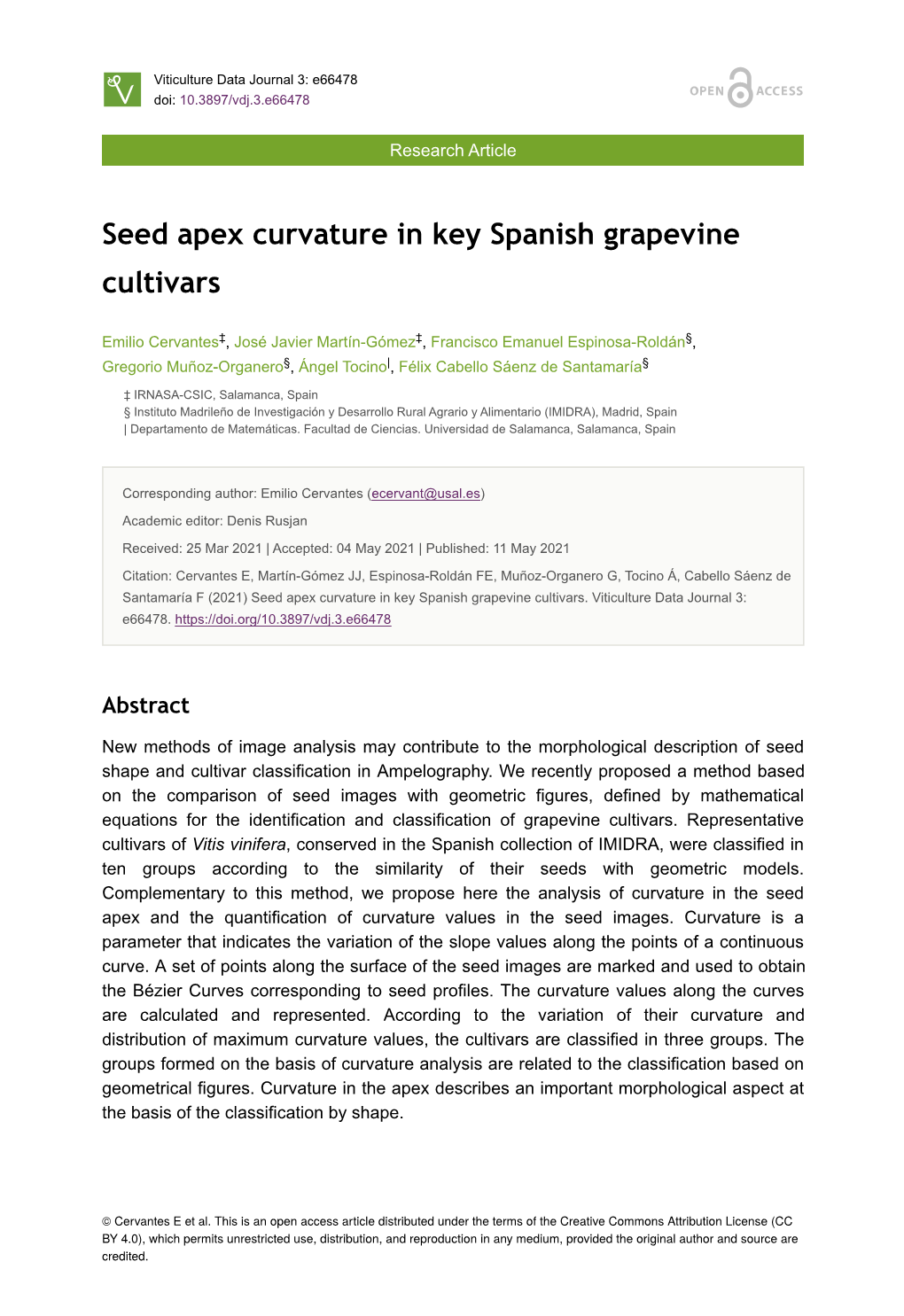 Seed Apex Curvature in Key Spanish Grapevine Cultivars