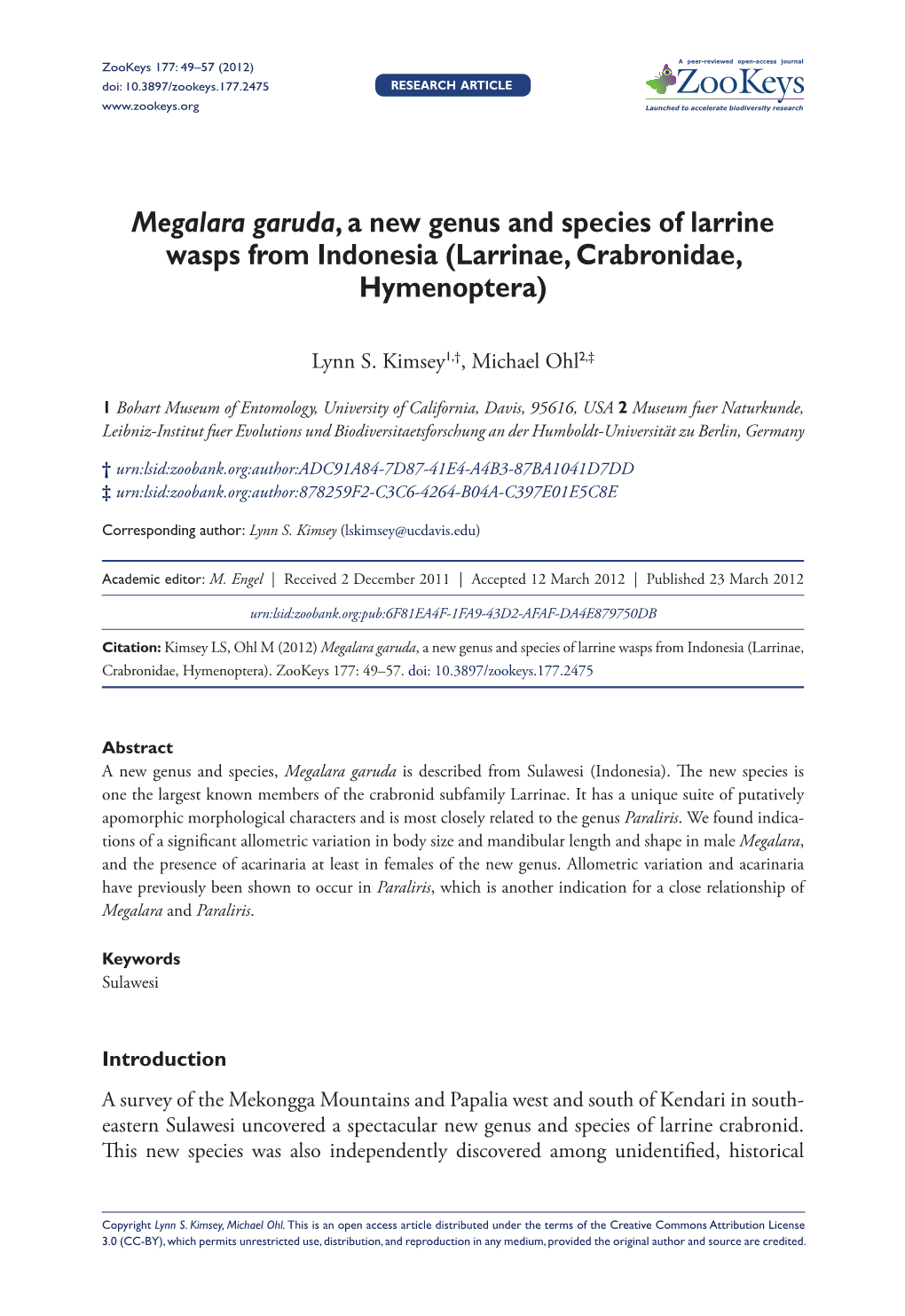 Megalara Garuda, a New Genus and Species of Larrine Wasps from Indonesia (Larrinae, Crabronidae, Hymenoptera)