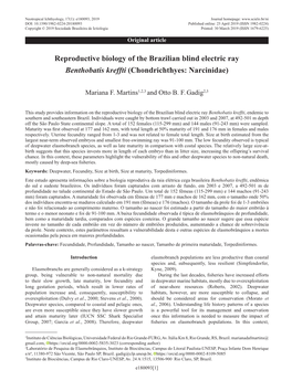 Reproductive Biology of the Brazilian Blind Electric Ray Benthobatis Kreffti (Chondrichthyes: Narcinidae)