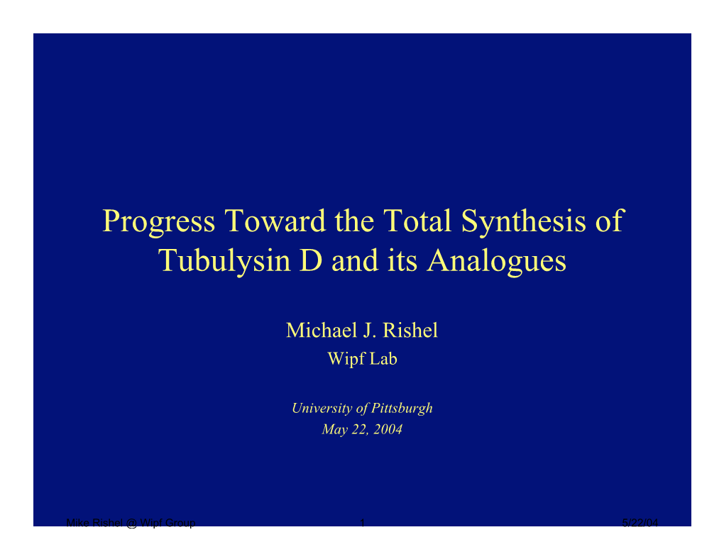 Progress Toward the Total Synthesis of Tubulysin D and Its Analogues