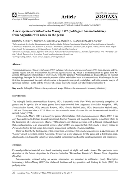 Solifugae: Ammotrechidae) from Argentina with Notes on the Genus