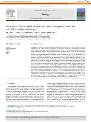 Deformation of Avian Middle Ear Structures Under Static Pressure Loads, and Potential Regulation Mechanisms ⁎ Raf Claesa,B, , Pieter G.G