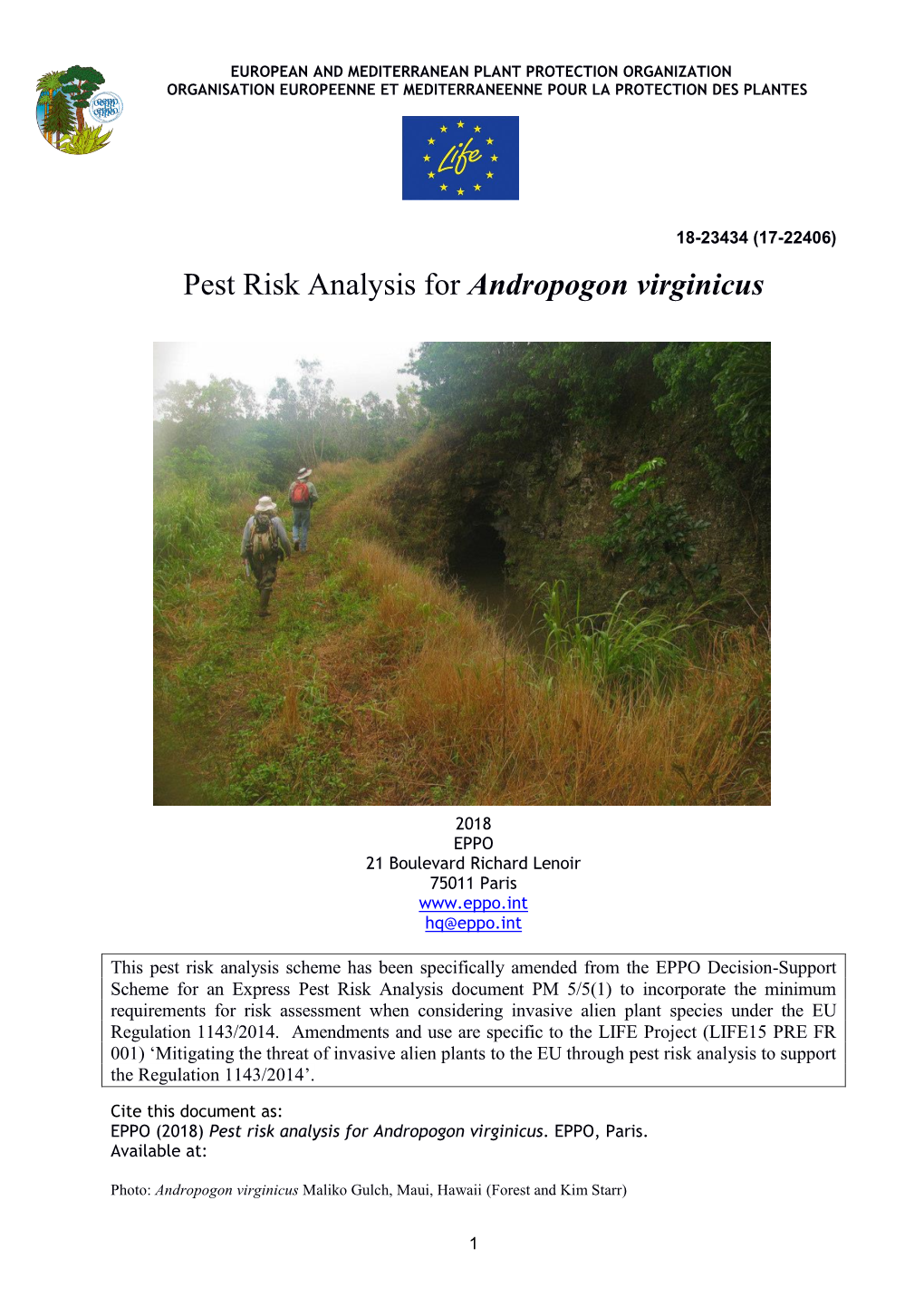 Pest Risk Analysis for Andropogon Virginicus