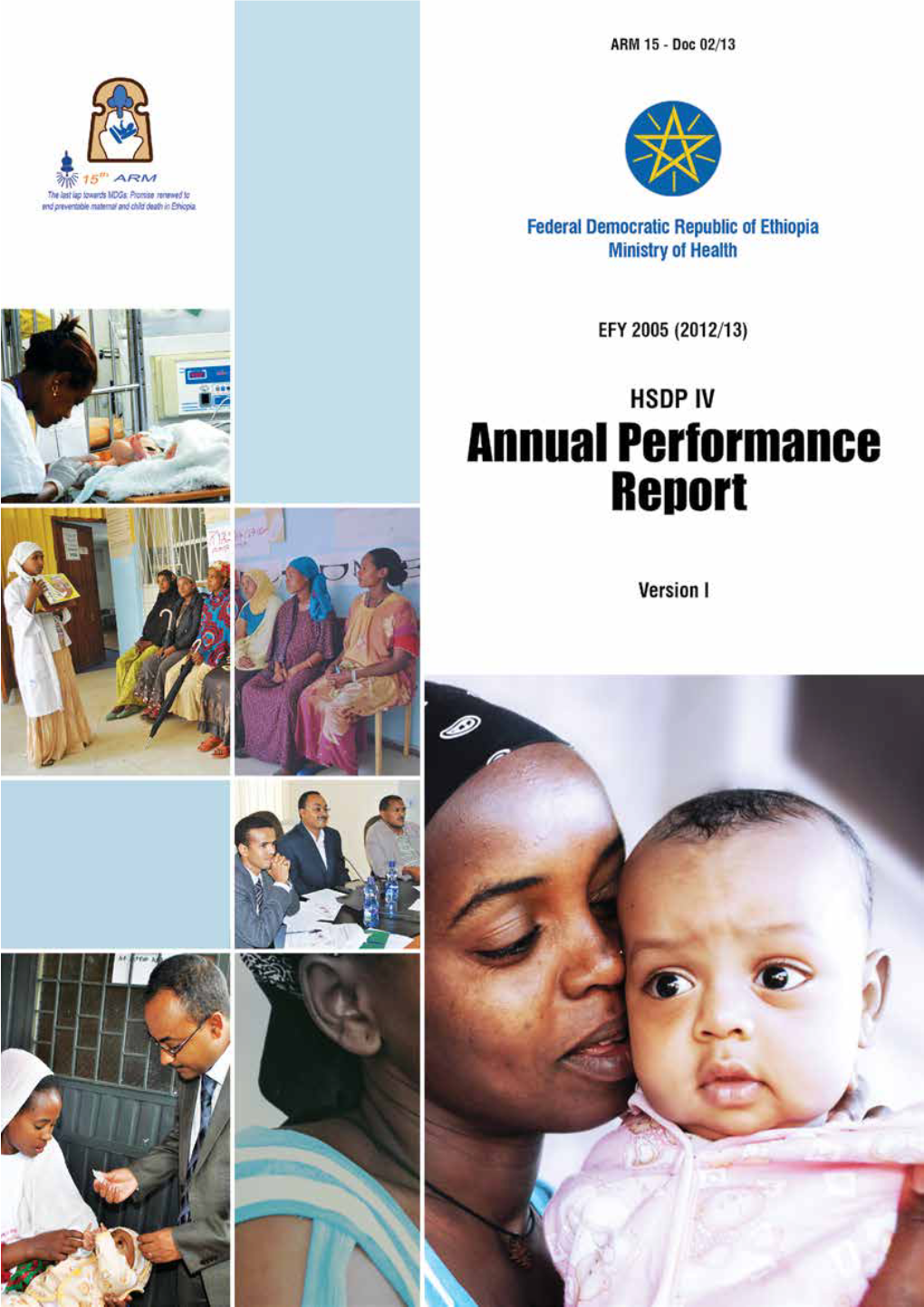 2013 Annual Performance Report.Pdf