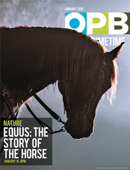 Equus: the Story of the Horse January 16, 8Pm