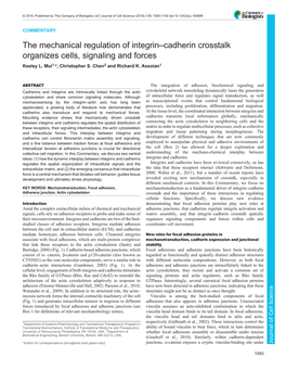 The Mechanical Regulation of Integrin–Cadherin Crosstalk Organizes Cells, Signaling and Forces Keeley L