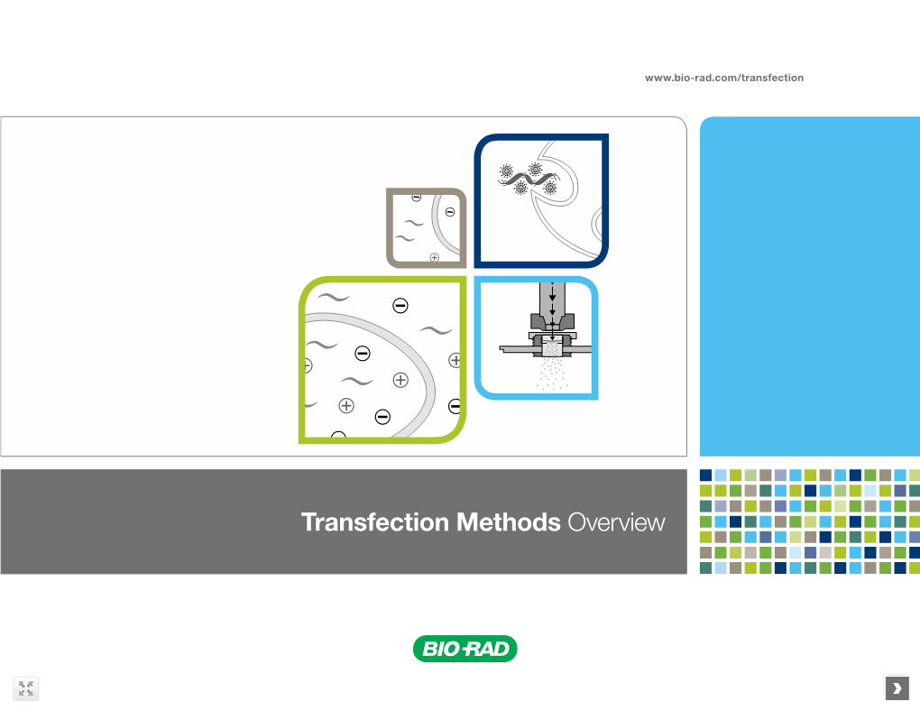 Transfection Methods Overview Transfection Methods