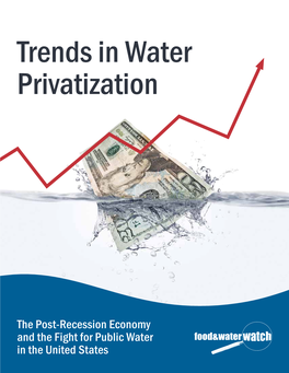 Trends in Water Privatization