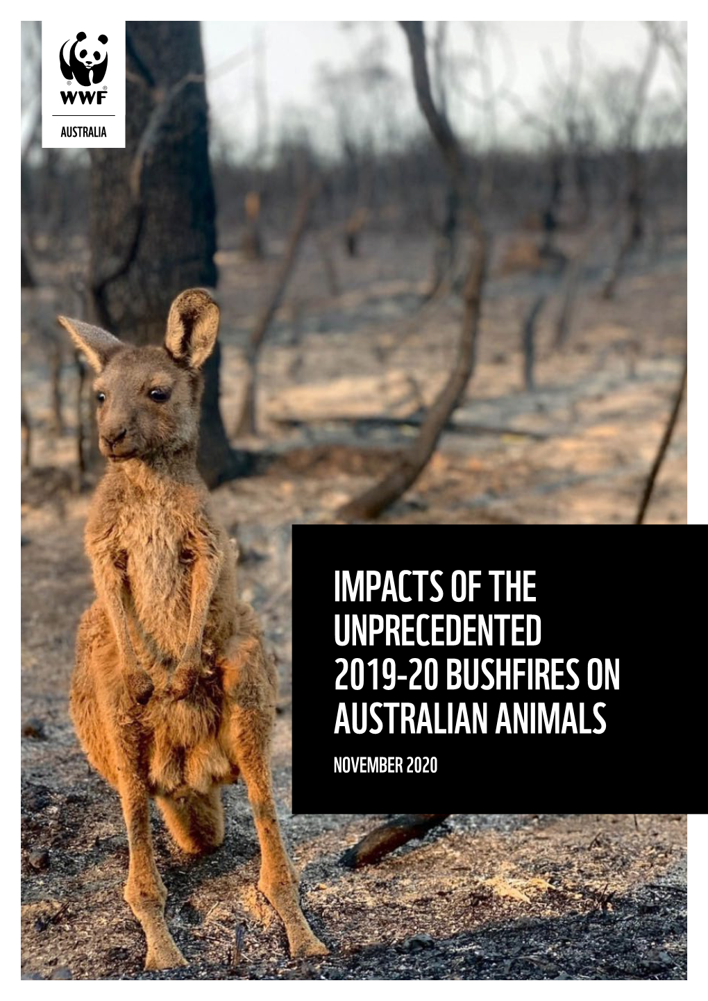 Impacts of the Unprecedented 2019-2020 Bushfires on Australian