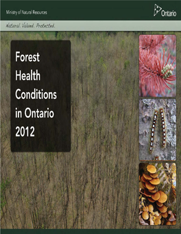 Forest Health Conditions in Ontario, 2012