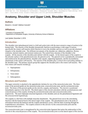 Anatomy, Shoulder and Upper Limb, Shoulder Muscles