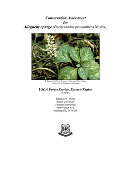 Conservation Assessment for Allegheny-Spurge (Pachysandra Procumbens Michx.)