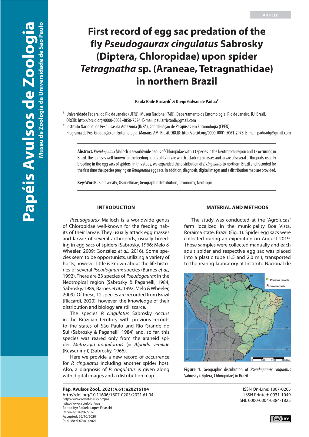 First Record of Egg Sac Predation of the Fly Pseudogaurax Cingulatus Sabrosky (Diptera, Chloropidae) Upon Spider Tetragnatha Sp