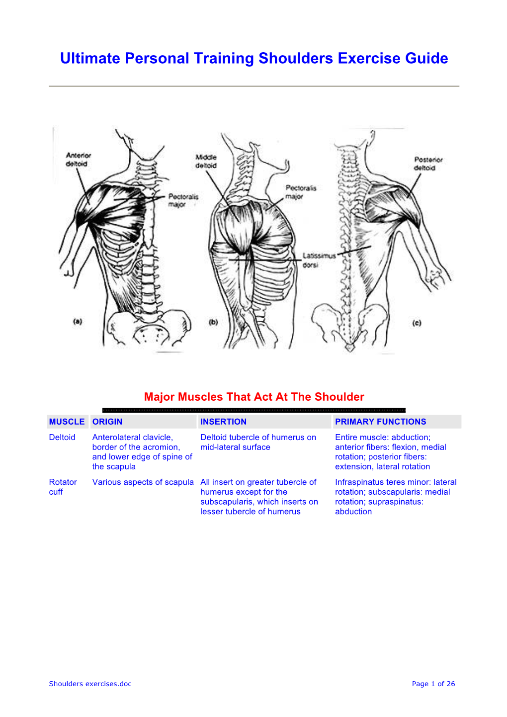 Ultimate Personal Training Shoulders Exercise Guide