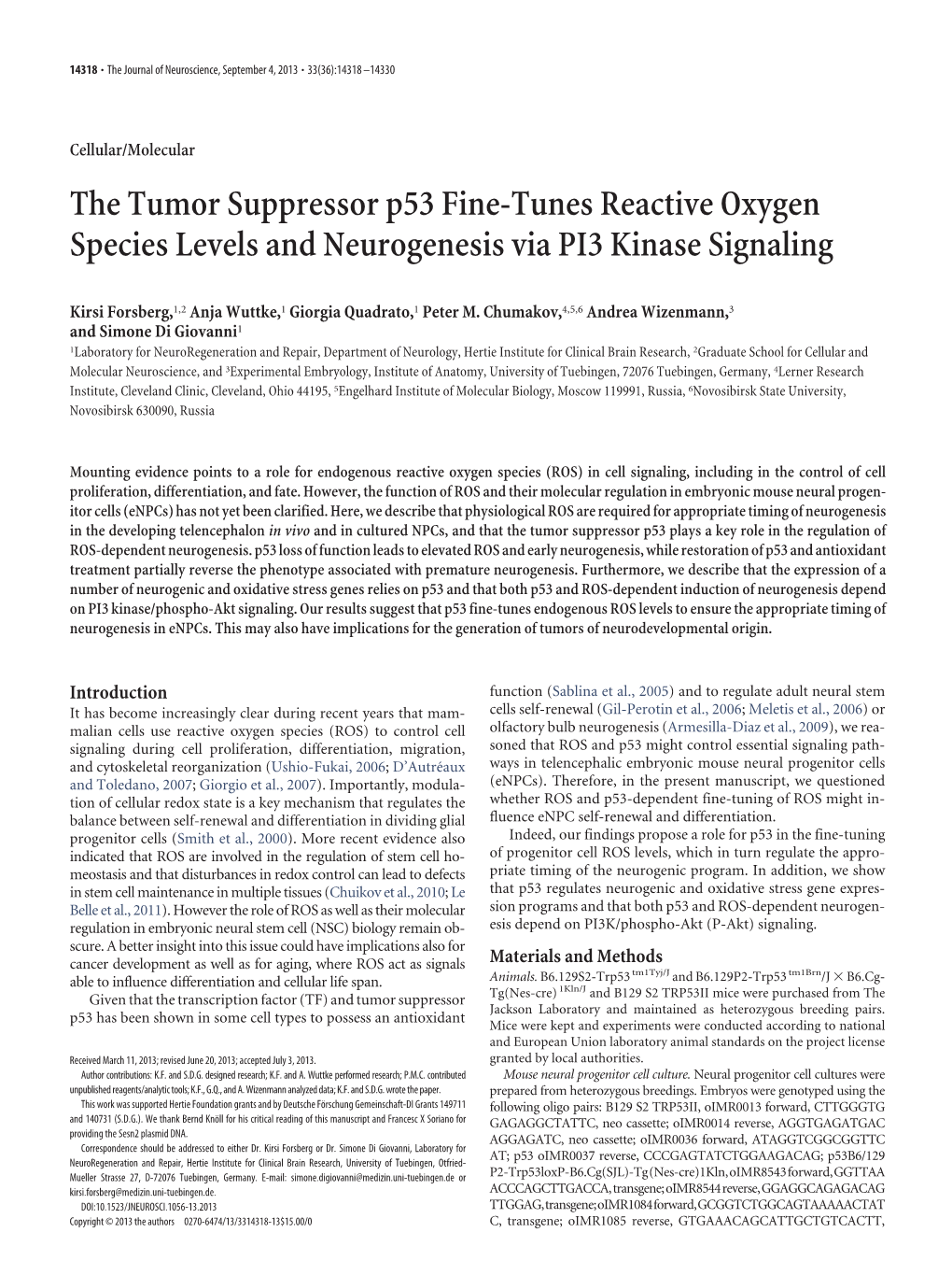 The Tumor Suppressor P53 Fine-Tunes Reactive Oxygen Species Levels and Neurogenesis Via PI3 Kinase Signaling