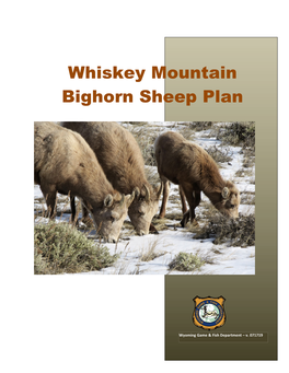 Whiskey Mountain Bighorn Sheep Plan