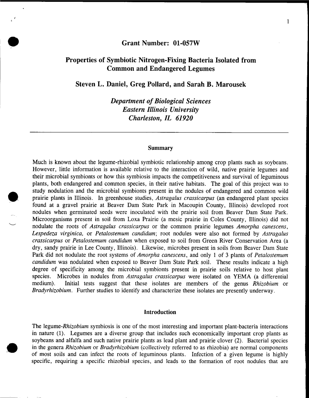 Grant Number: 01-057W Properties of Symbiotic Nitrogen-Fixing Bacteria