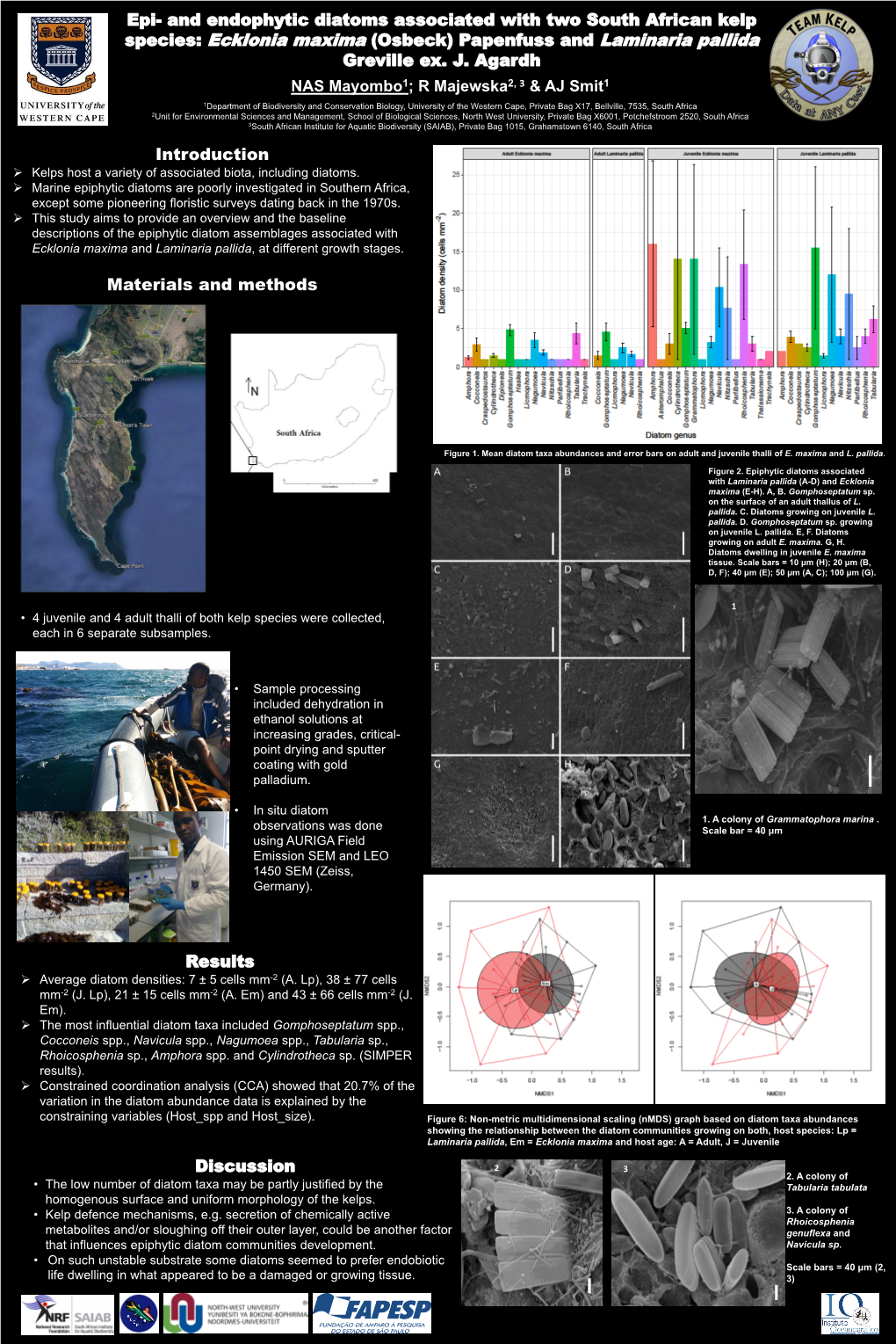 Epi- and Endophytic Diatoms Associated with Two South African Kelp Species: Ecklonia Maxima (Osbeck) Papenfuss and Laminaria Pallida Greville Ex