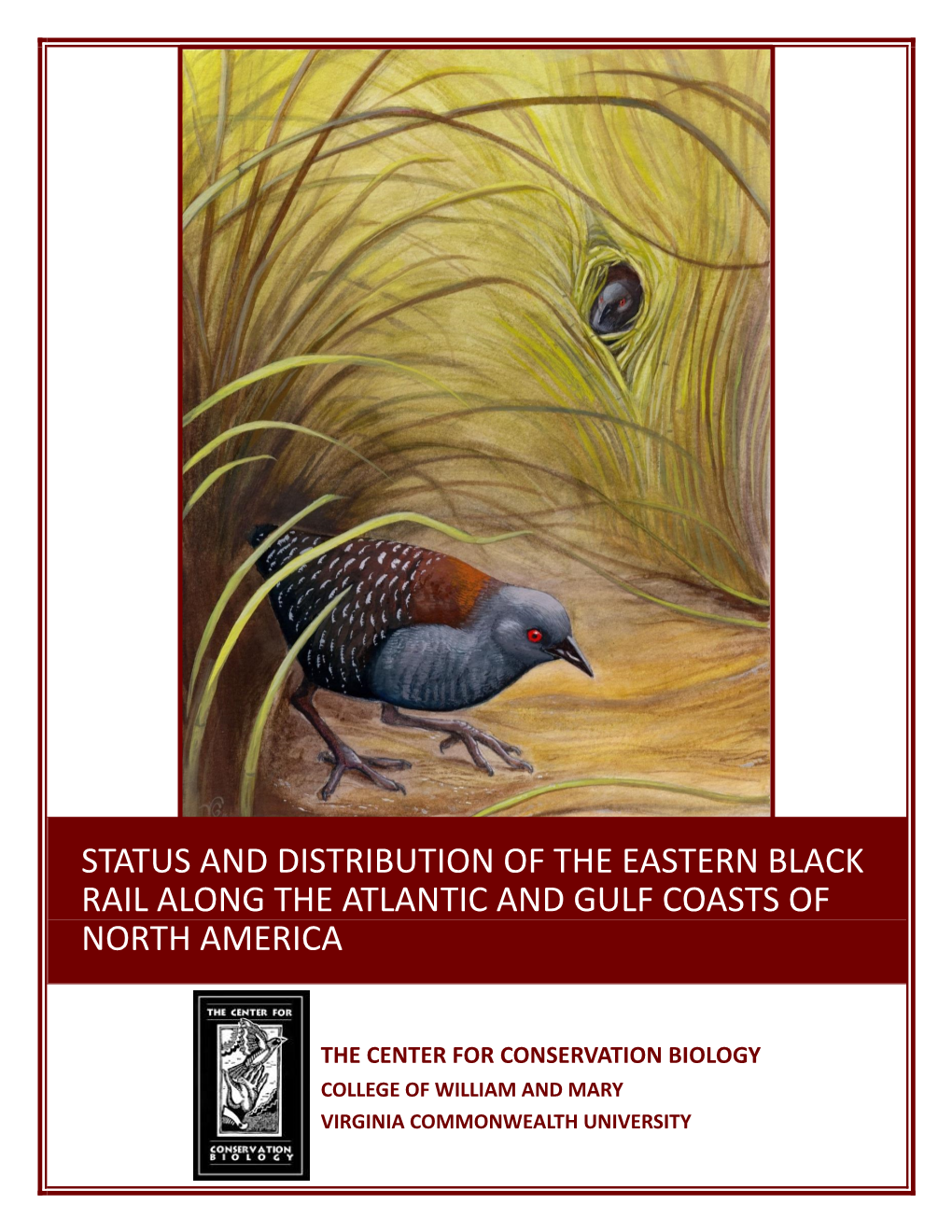 Eastern Black Rail Status Assessment