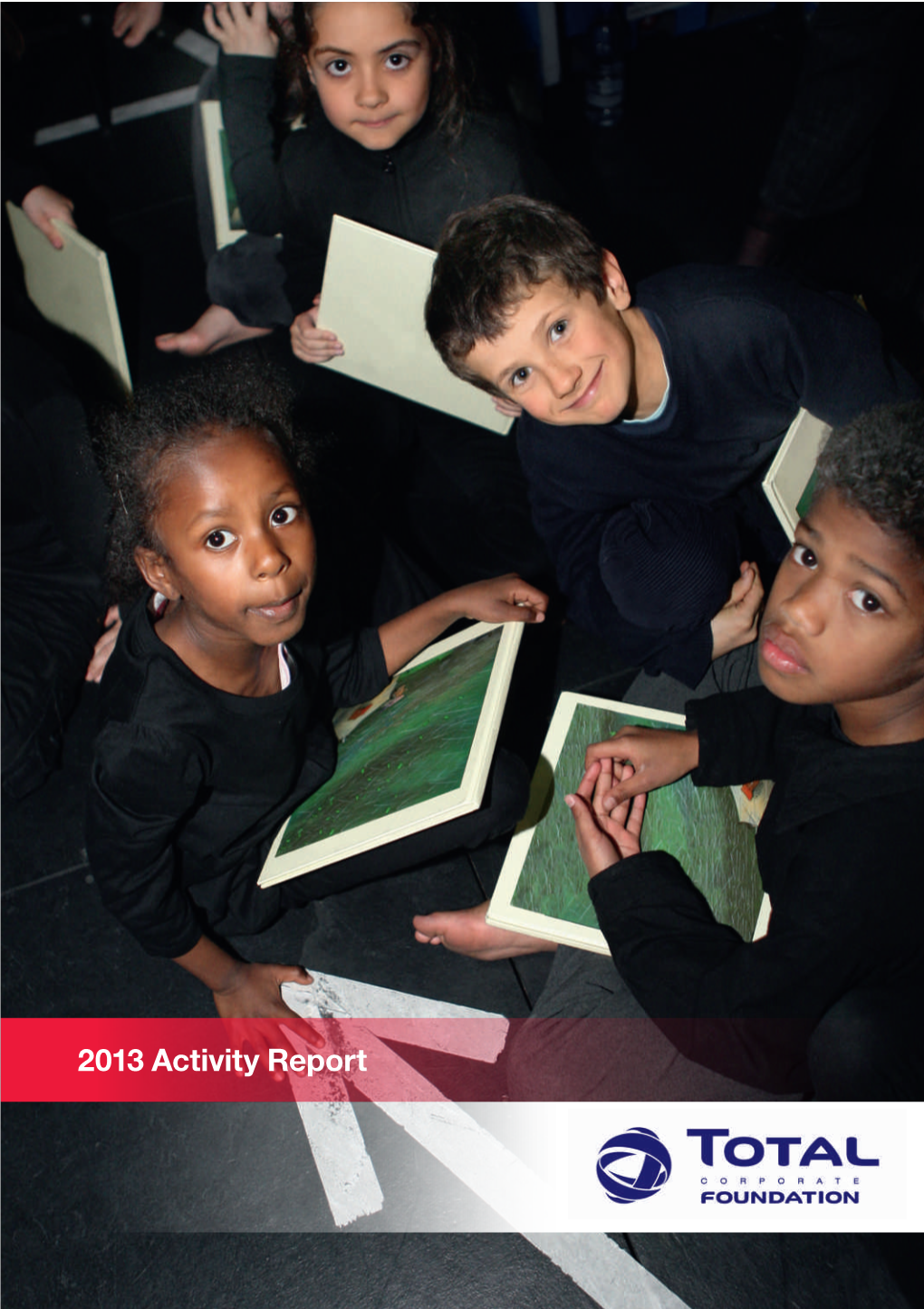2013 Activity Report 1
