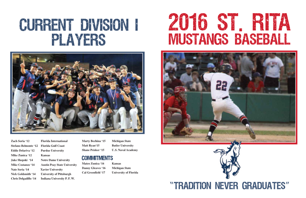 2016 Baseball Book