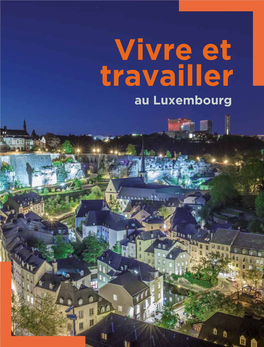 Vivre Et Travailler Au Luxembourg Au Luxembourg Juillet 2020 Chambre De Commerce Index Thématique