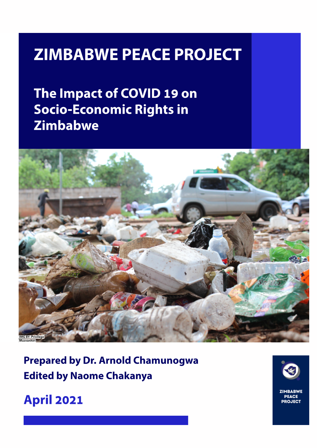The Impact of COVID 19 on Socio-Economic Rights in Zimbabwe February 2021