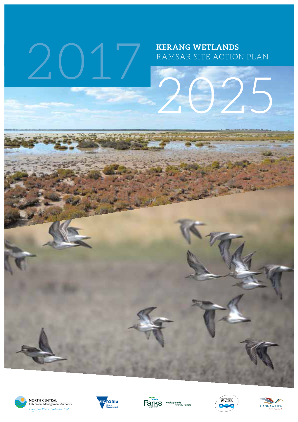 Kerang Wetlands Ramsar Site Action Plan 2017—2025