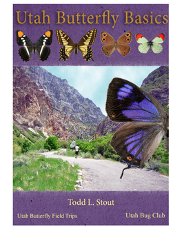 Utah Butterfly Basics 11.Pdf