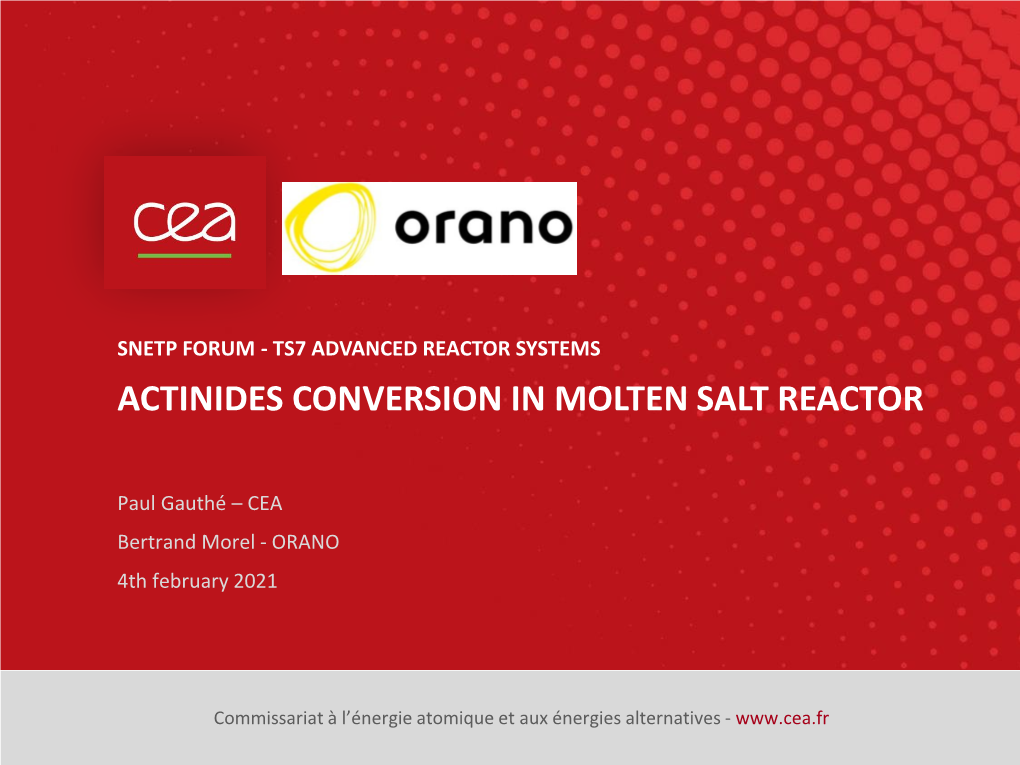 Actinides Conversion in Molten Salt Reactor