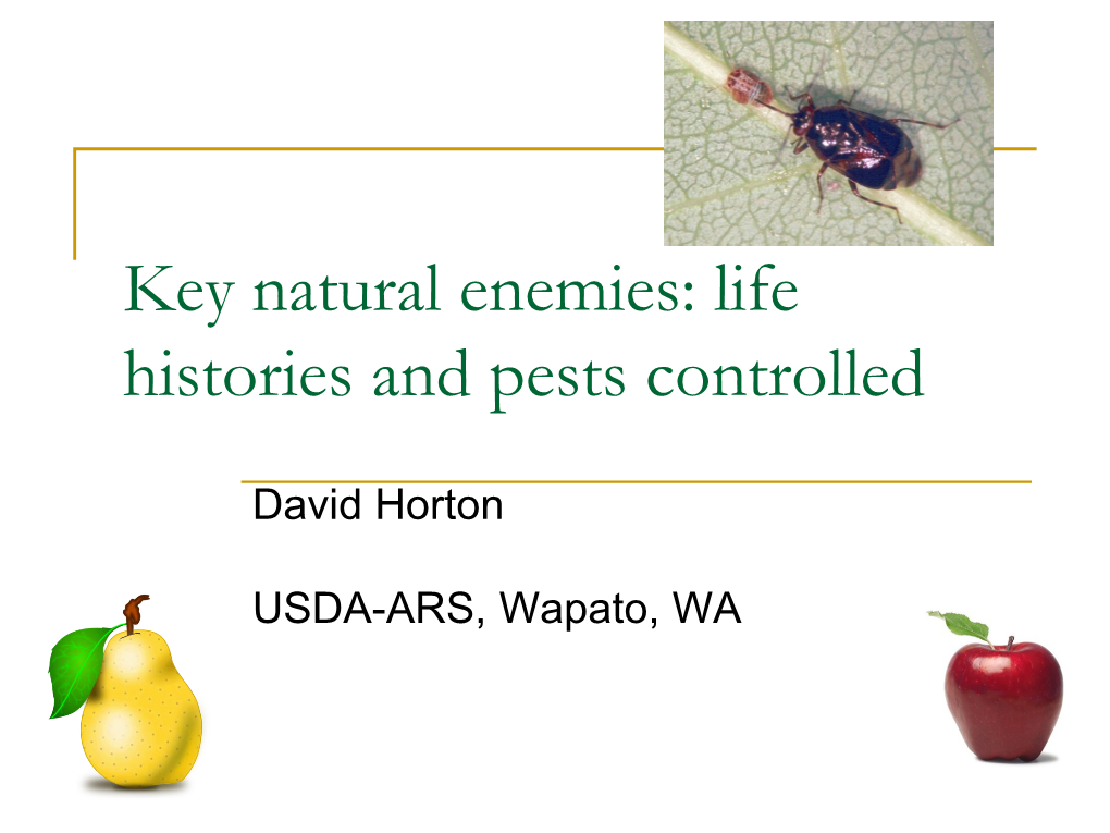 Key Natural Enemies: Life Histories and Pests Controlled