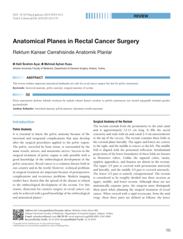 Anatomical Planes in Rectal Cancer Surgery