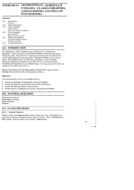 SUBPHYLUM UNIRAMIA : CLASSES CHILOPODA and PAUROPODA Ahtd PHYLUM