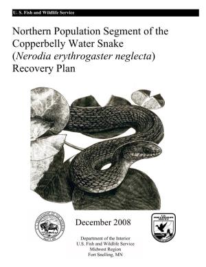 Northern Population Segment of the Copperbelly Water Snake (Nerodia Erythrogaster Neglecta) Recovery Plan