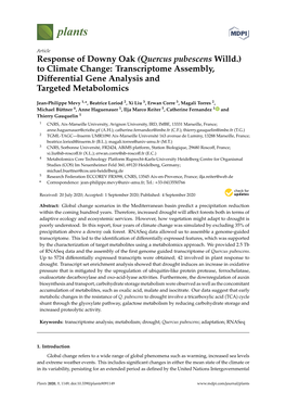 Response of Downy Oak (Quercus Pubescens Willd.) to Climate Change: Transcriptome Assembly, Differential Gene Analysis and Targe