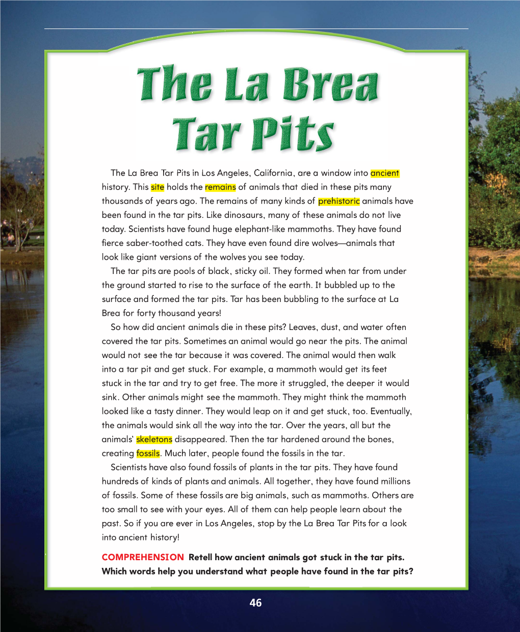 The La Brea Tar Pits in Los Angeles, California, Are a Window Into Ancient History