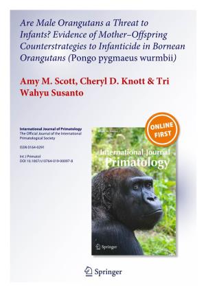 Are Male Orangutans a Threat to Infants? Evidence of Mother–Offspring Counterstrategies to Infanticide in Bornean Orangutans (Pongo Pygmaeus Wurmbii)
