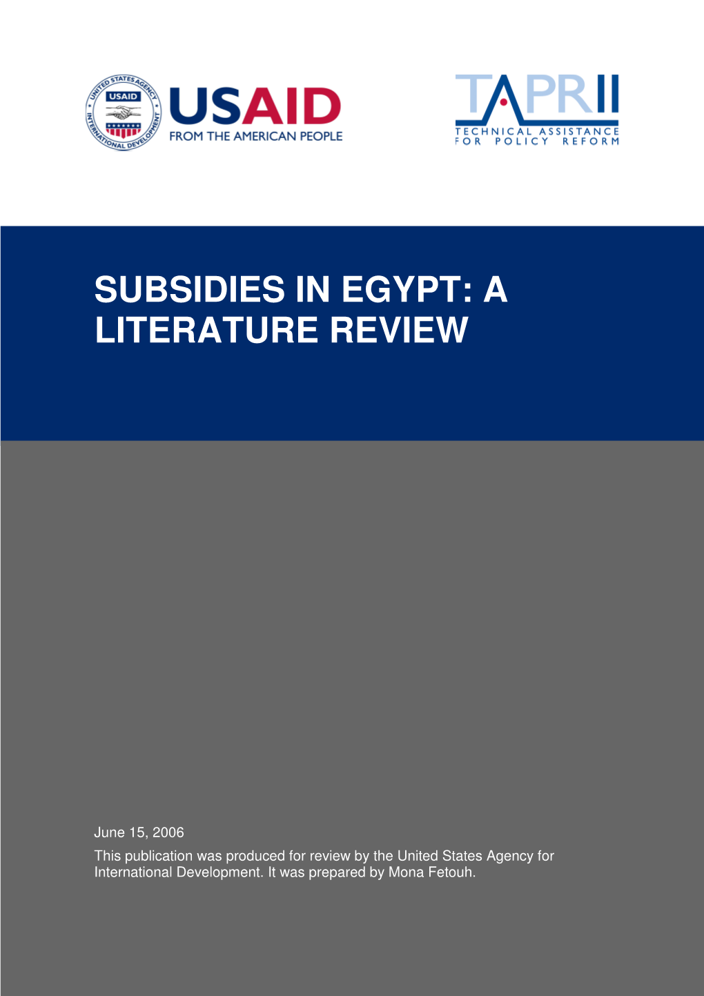 Subsidies in Egypt: a Literature Review