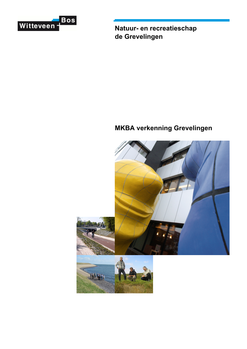 MKBA Verkenning Grevelingen, Witteveen En