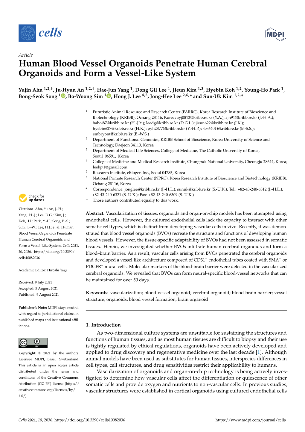 Human Blood Vessel Organoids Penetrate Human Cerebral Organoids and Form a Vessel-Like System