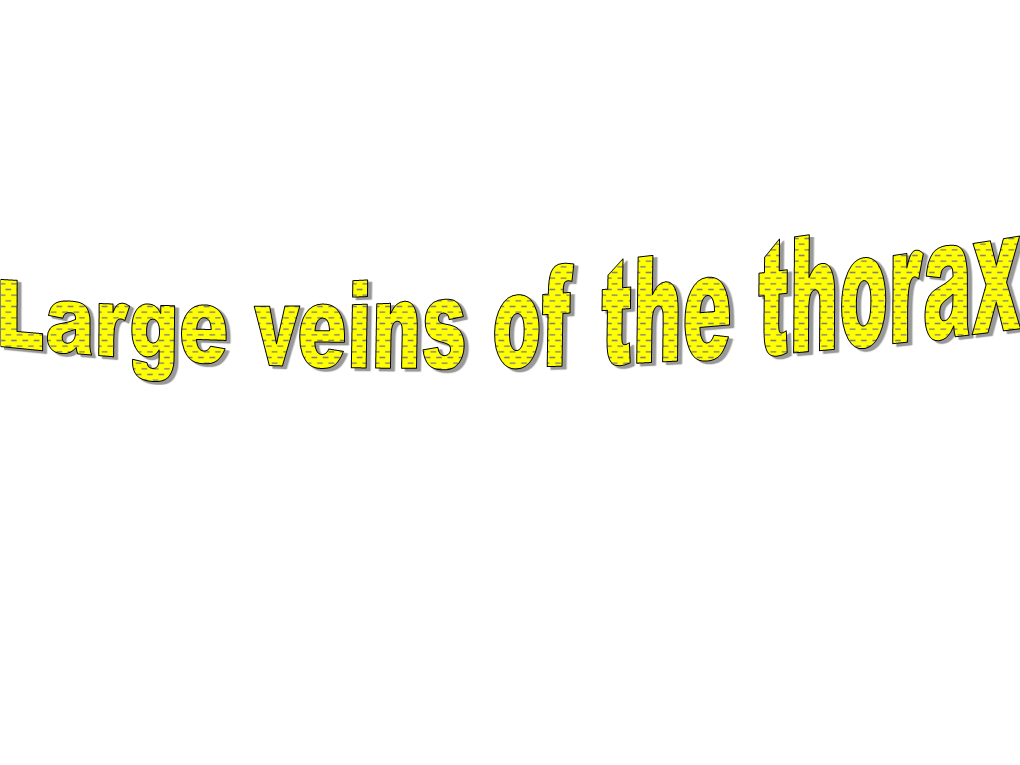 Large Veins of the Thorax
