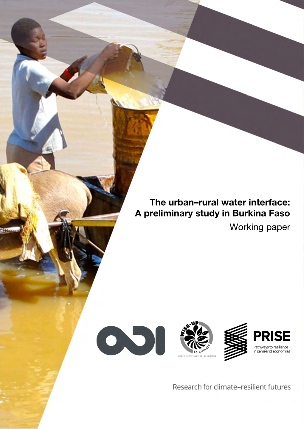 The Urban-Rural Water Interface: a Preliminary Study in Burkina Faso
