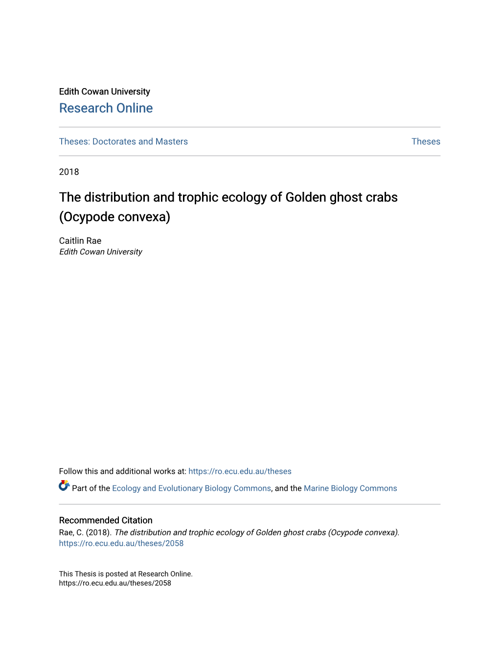 The Distribution and Trophic Ecology of Golden Ghost Crabs (Ocypode Convexa)