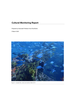 Cultural Monitoring Report