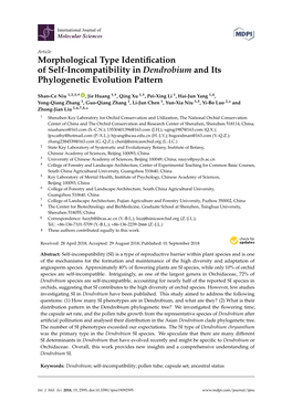 Morphological Type Identification of Self-Incompatibility in Dendrobium