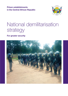 National Demilitarisation Strategy