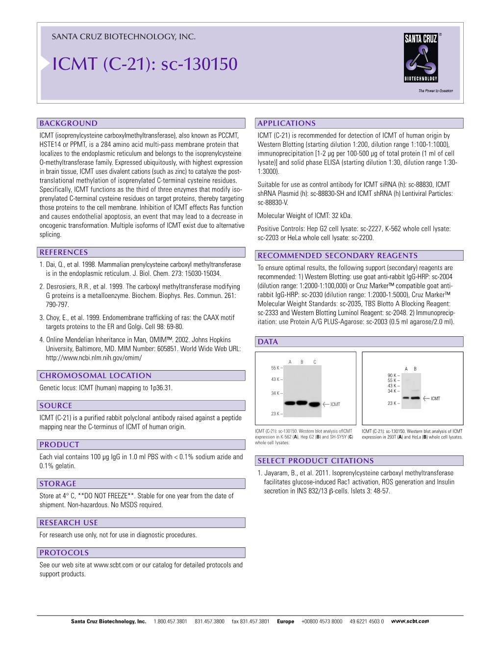 ICMT (C-21): Sc-130150