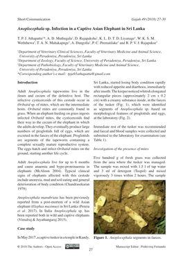 Anoplocephala Sp. Infection in a Captive Asian Elephant in Sri Lanka