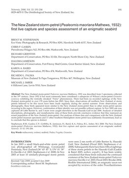 The New Zealand Storm-Petrel (Pealeornis Maoriana Mathews, 1932): First Live Capture and Species Assessment of an Enigmatic Seabird